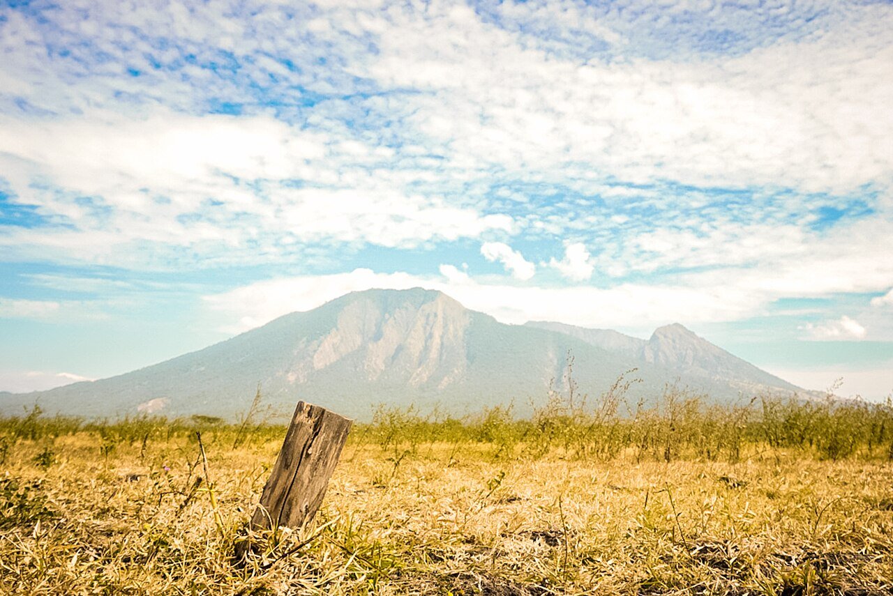 Taman Nasional Baluran Savana Bekol dan Kawah Ijen